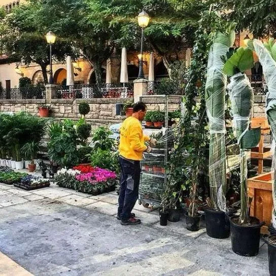 Taller de Flores en Pueblo Español - Imagen 2